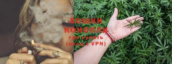стафф Мегион